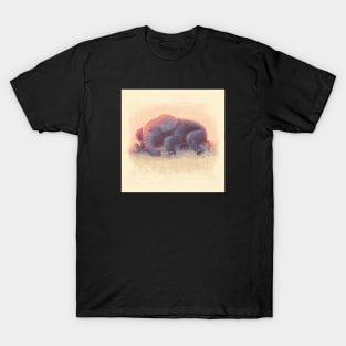 Baby Elephant Sleeping 2 T-Shirt